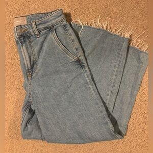 EVERLANE The Wide Leg Jean